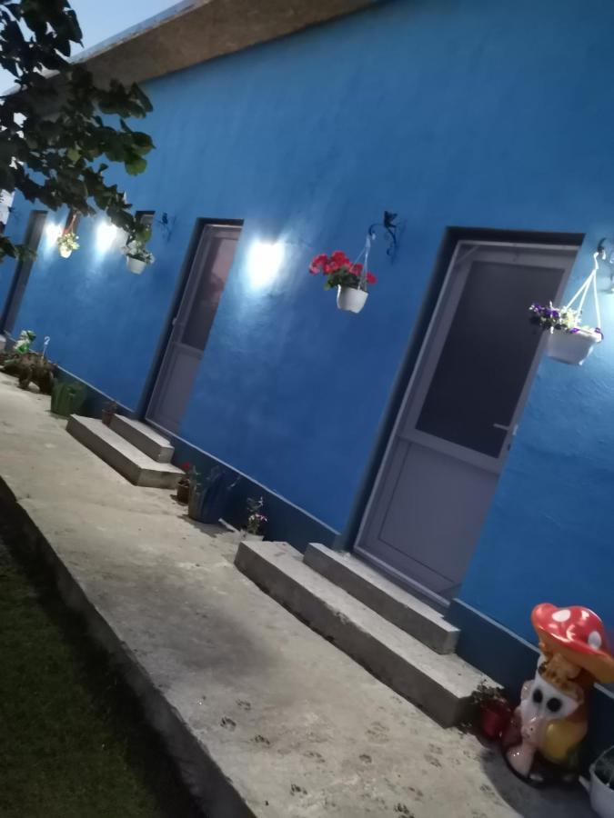 ホテル Casa Andrei A コルブ エクステリア 写真