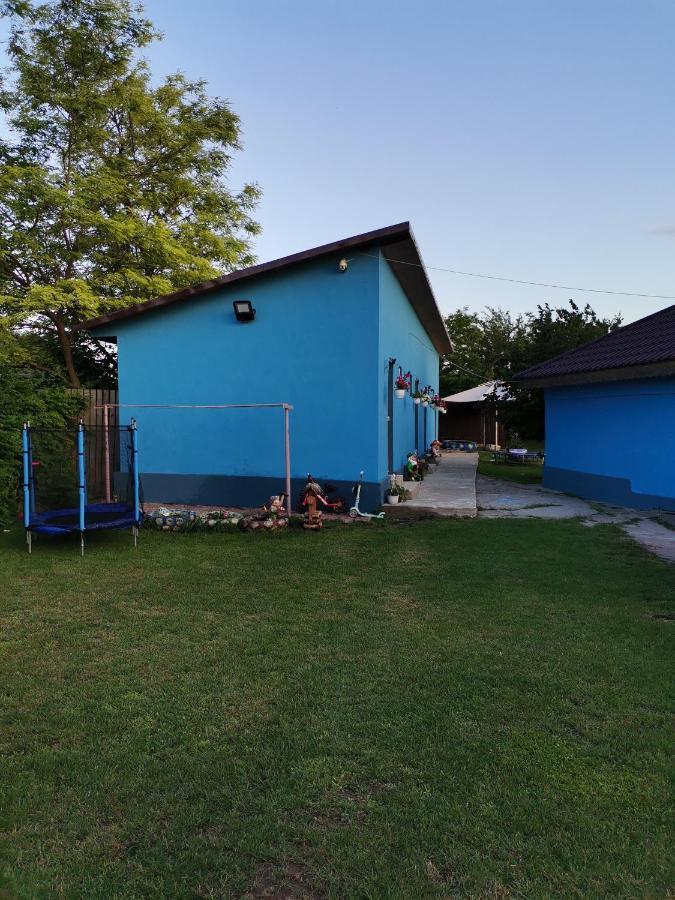 ホテル Casa Andrei A コルブ エクステリア 写真