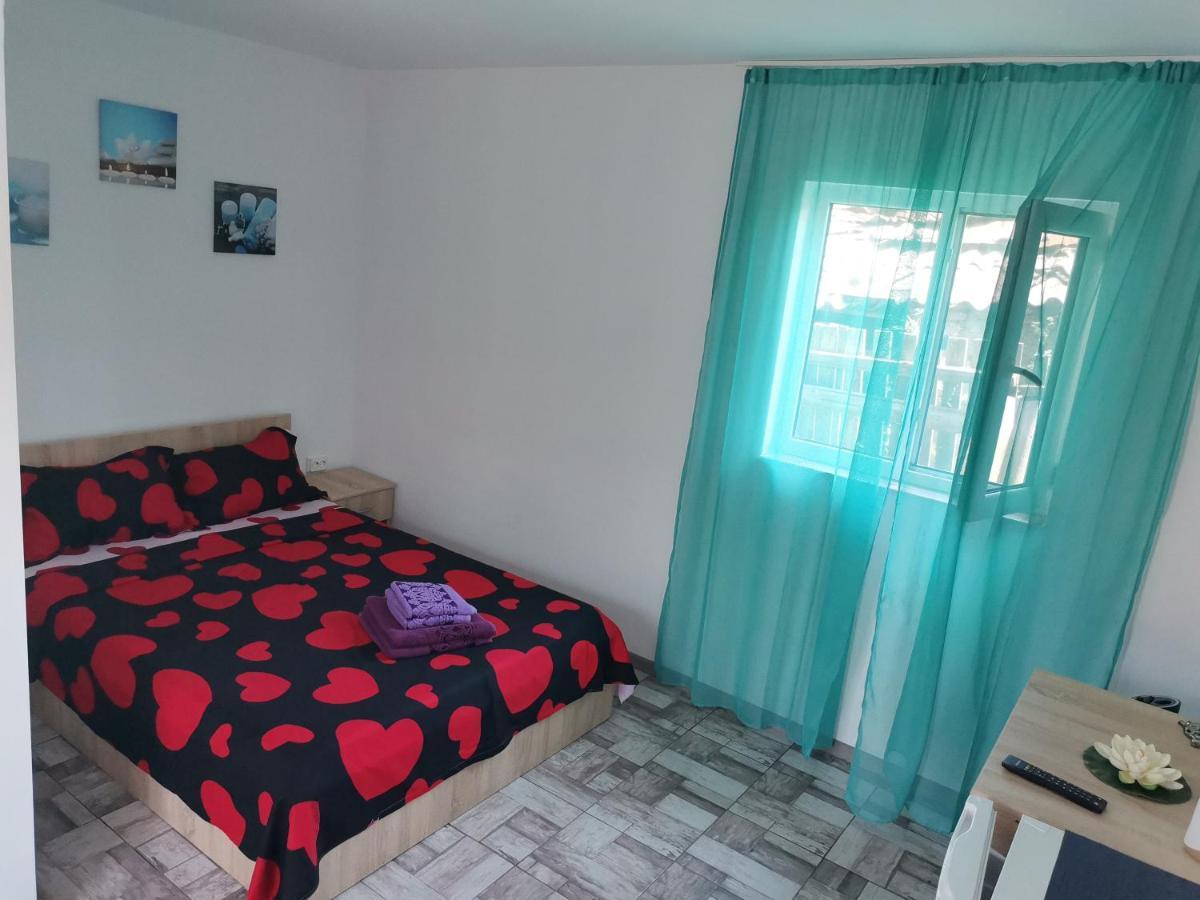 ホテル Casa Andrei A コルブ エクステリア 写真